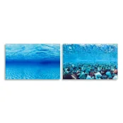Двосторонній акваріумний фон Ferplast BLU 9041 Background з малюнком рослини / корали, 60x40 см