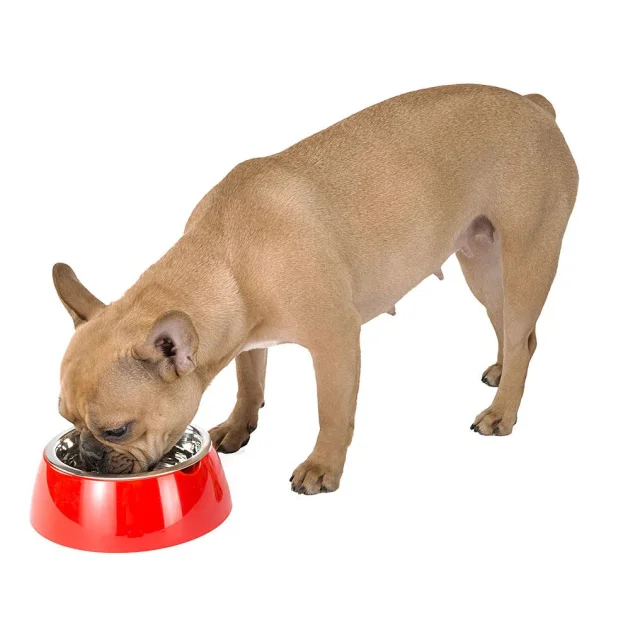 Ferplast Jolie Small Red Bowl металлическая миска для собак и кошек, 17,1 см