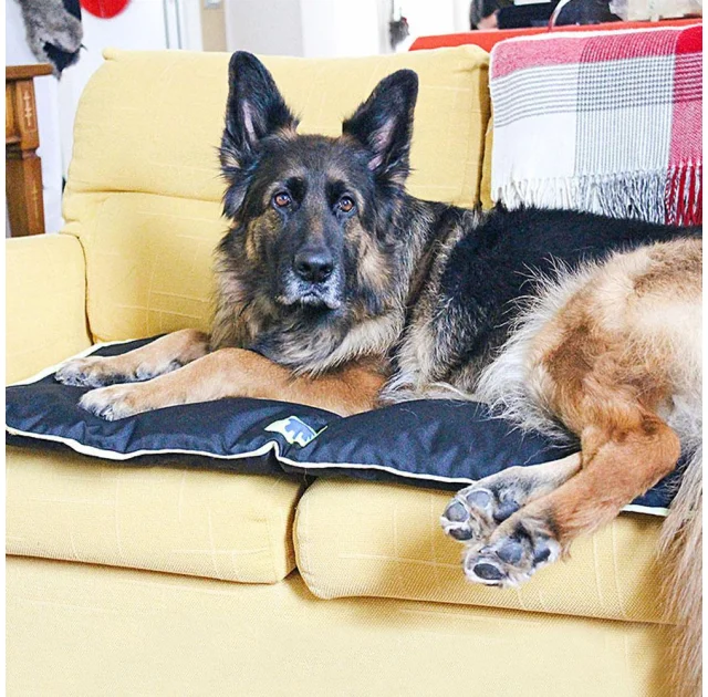 Водоотталкивающая подушка Ferplast Jolly 100 Cushion Black для собак, чорна, 98×65 см