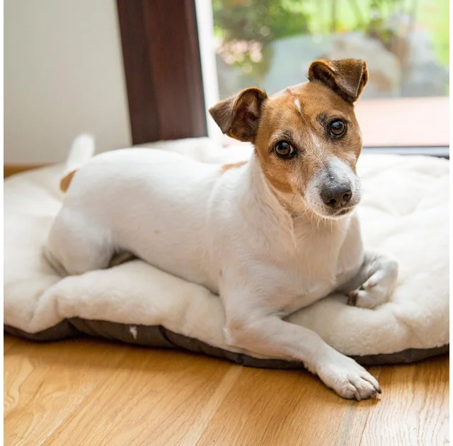 Подушка-подстилка Ferplast Relax F 45/2 Brown-Beige для кошек и собак, из хлопка и меха, 43×30 см