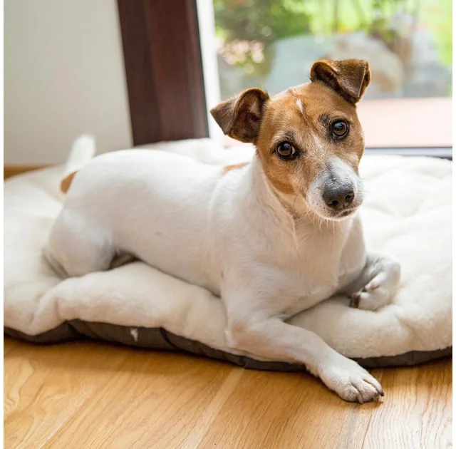 Подушка-подстилка Ferplast Relax F 100/12 Brown-Beige для кошек и собак, из хлопка и меха, 100×63 см