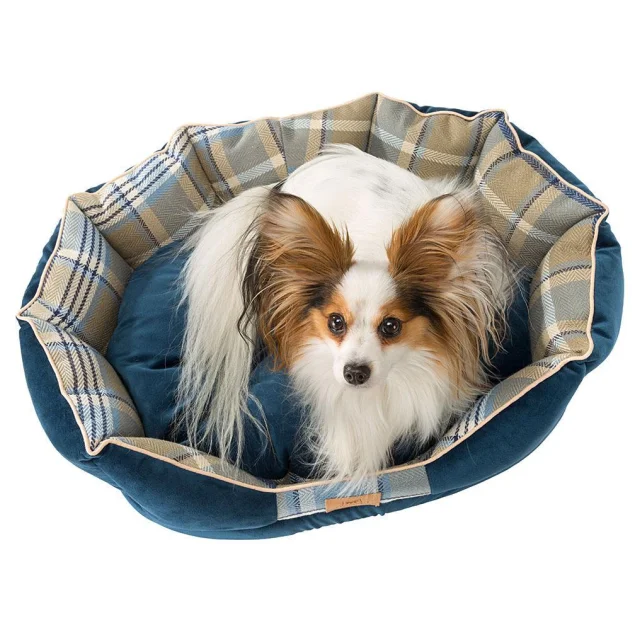 Лежак с двусторонней подушкой Ferplast Charles 60 Bedding Blue для кошек и собак, 56×42×20 см