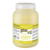 Шампунь для тварин Iv San Bernard Ginger and Elderberry, 3.25 л.