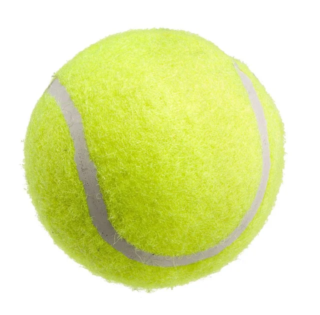 Кульова пускова іграшка Ferplast PA 6091 для собак, 62 см