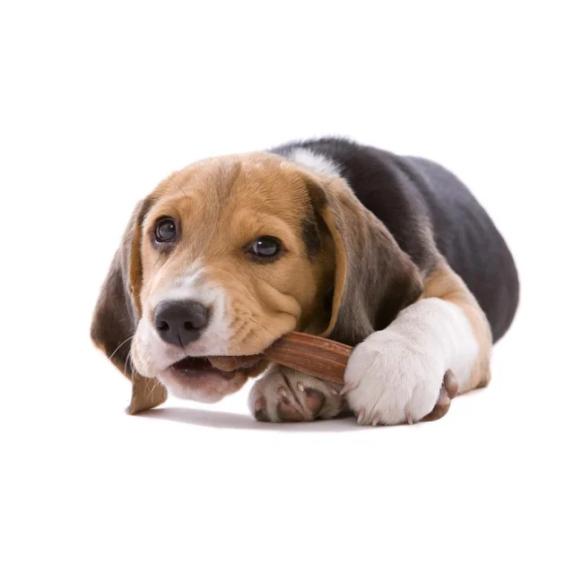 Жувальна іграшка Ferplast GoodBite Natural Ham Bone M для собак, 13,5x4,4x2,1 см