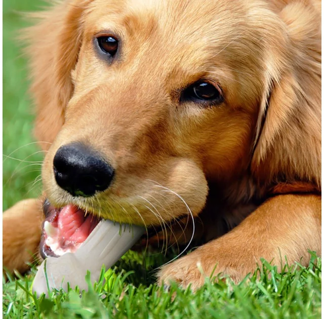 Жувальна іграшка Ferplast GoodBite Natural Beef Bone XXL для собак, 20,5x6,6x3,2 см