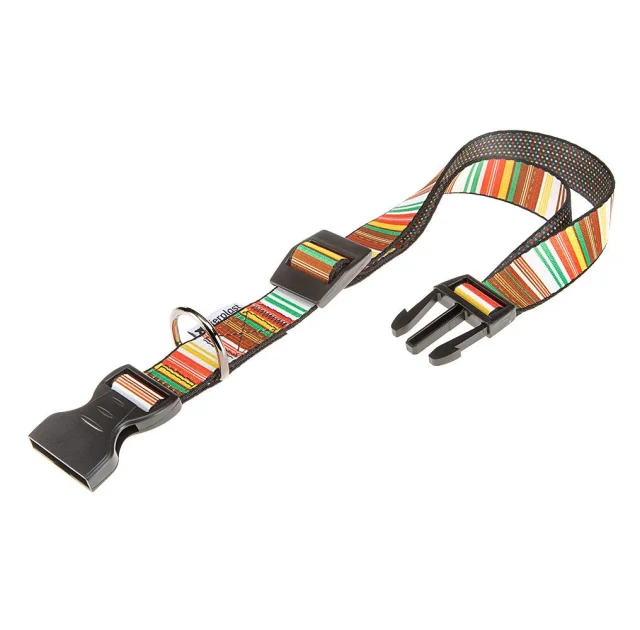 Нашийник Ferplast Arlecchino C25 / 70 для собак, нейлон