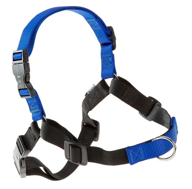 Шлейка Ferplast Coach P L-XL Harness Blue для дрессировки, A: 40x53 см, B: 76x115 см