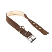 Нейлоновий нашийник Ferplast Daytona C25 / 45 Brown для собак, коричневий, A: 37x45 см, B: 25 мм