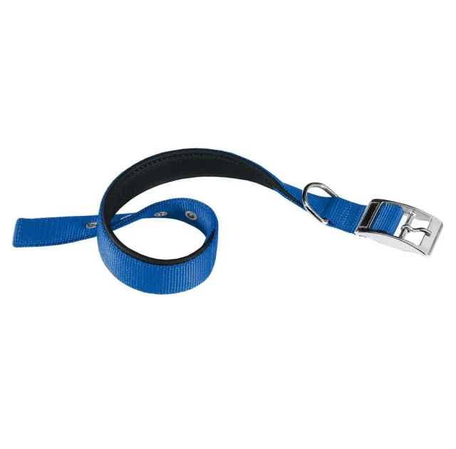 Нейлоновий нашийник Ferplast Daytona C40 / 69 Blue для собак, синій, A: 61x69 см, B: 40 мм
