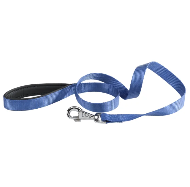Нейлоновый поводок Ferplast Daytona G20/120 Blue для собак, 20 мм 120 см