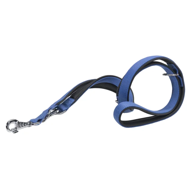 Регулируемый нейлоновый поводок Ferplast Daytona GA15/200 Blue для дрессировки собак, 20 мм, 200 см