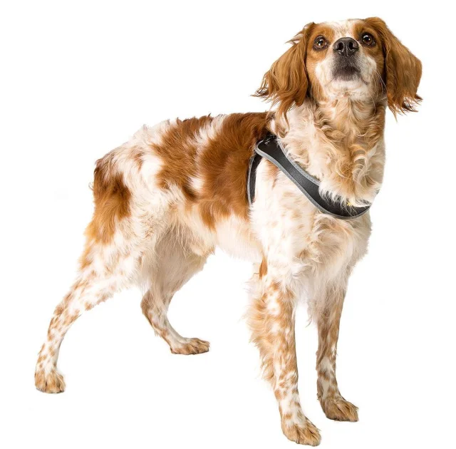 Ferplast Agila 8 Harness Black эргономичная шлейка для собак с системой микрорегулировки, 69x77 см