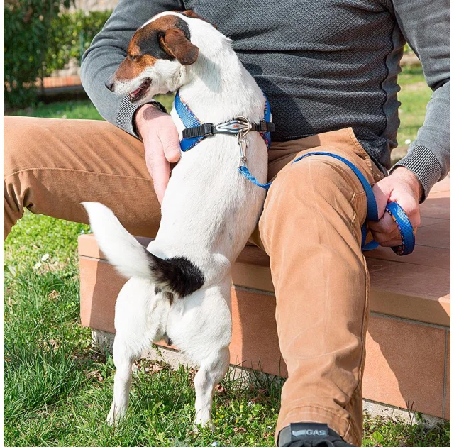 Ferplast Agila Fantasy 3 Blue эргономичная шлейка для собак с мягкой подкладкой и эластичным шнуром, 42x50 см