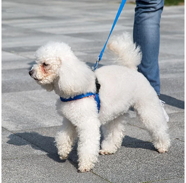 Ferplast Agila Fantasy 4 Blue эргономичная шлейка для собак с мягкой подкладкой и эластичным шнуром, 44x52 см