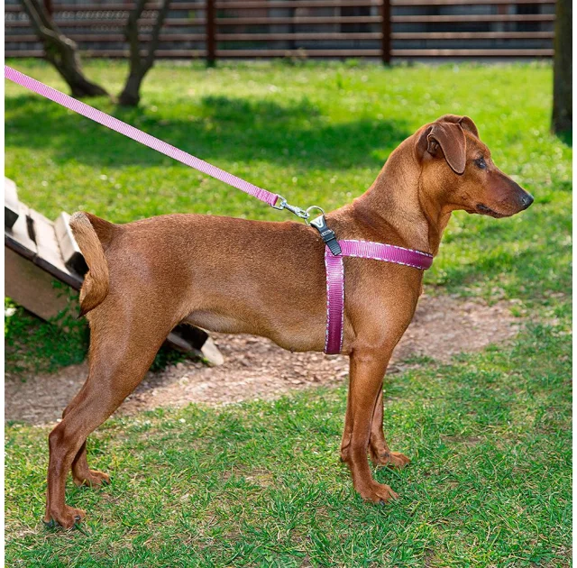 Ferplast Agila Fantasy 4 Cyclamen эргономичная шлейка для собак, 44x52 см