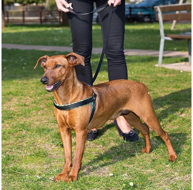 Ferplast Agila Fantasy 4 Black эргономичная шлейка для собак с мягкой подкладкой и эластичным шнуром, 44x52 см