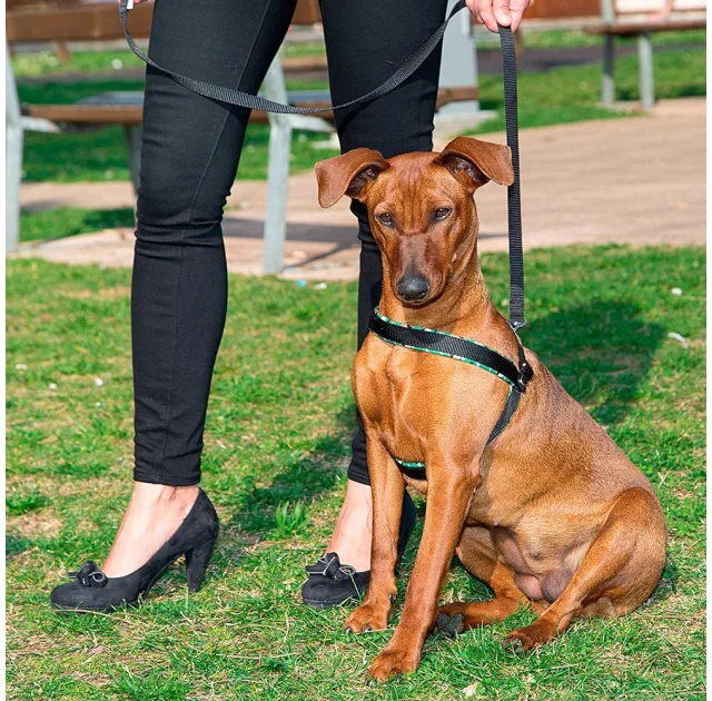 Ferplast Agila Fantasy 5 Black эргономичная шлейка для собак с мягкой подкладкой и эластичным шнуром, 50x58 см