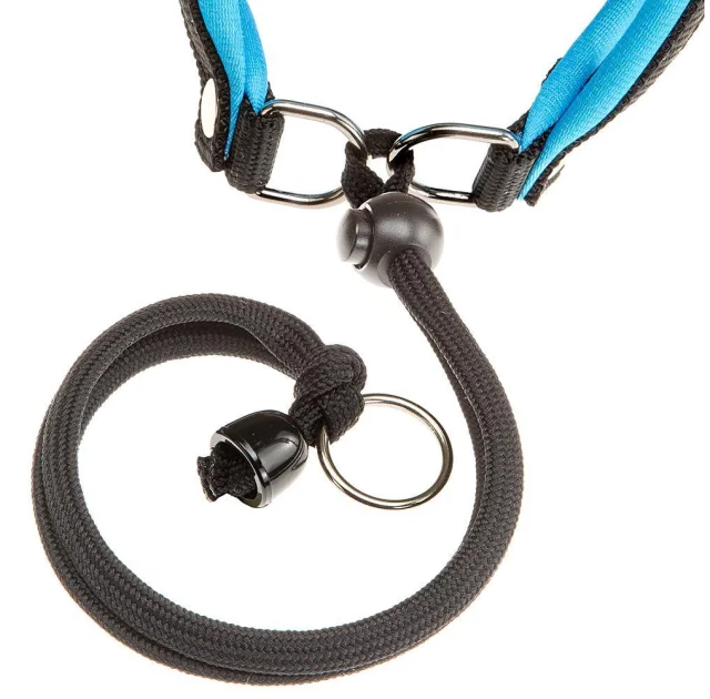 Ferplast Agila Fluo 1 Harness Blue эргономичная шлейка для собак, синяя, 26x38 см