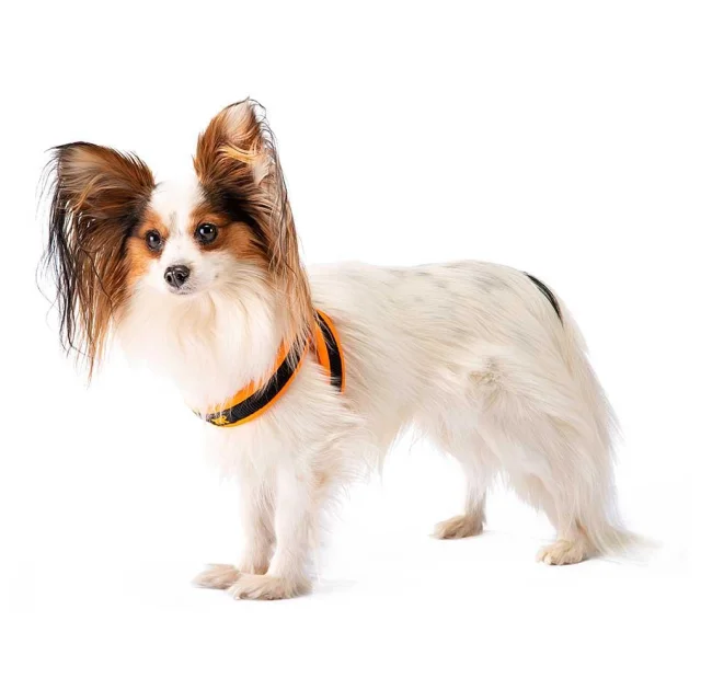 Ferplast Agila Fluo 2 Orange эргономичная шлейка для собак, оранжевая, 32x50 см