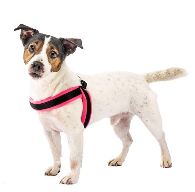 Ferplast Agila Fluo 4 Pink эргономичная шлейка для собак, розовая, 44x52 см