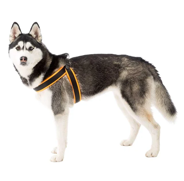 Эргономичная шлейка Ferplast Agila Fluo 6 Orange для собак, 57x65 см