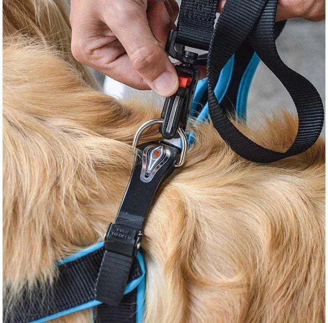 Эргономичная шлейка Ferplast Agila Fluo 7 Blue для собак, 63x71 см