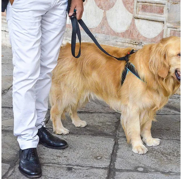 Эргономичная шлейка Ferplast Agila Fluo 8 Blue для собак, 69x77 см