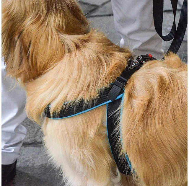 Эргономичная шлейка Ferplast Agila Fluo 9 Blue для собак, 77x85 см
