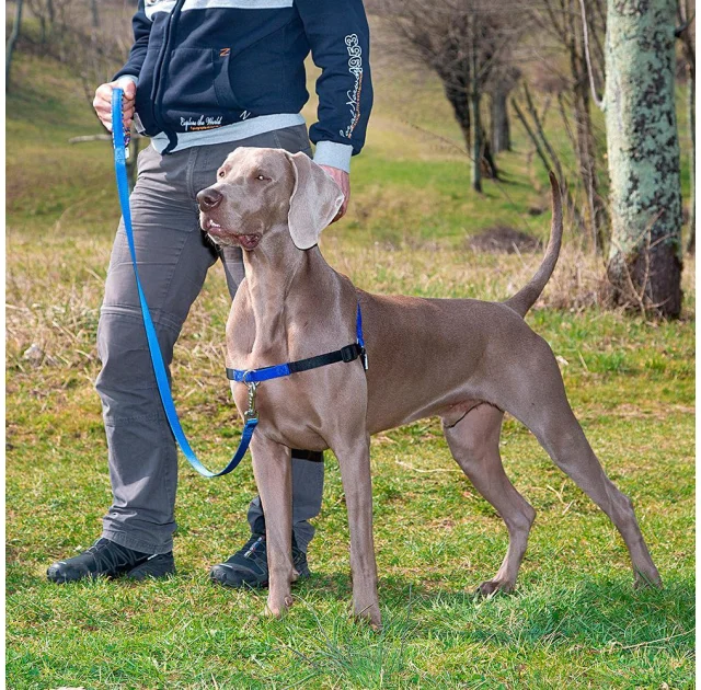 Шлейка Ferplast Coach P M Harness Blue для дрессировки, A: 20x26 см, B: 42x59 см