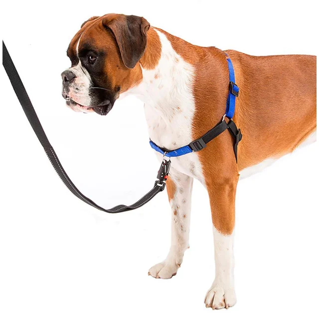 Шлейка Ferplast Coach P S-M Harness Blue для дрессировки, A: 15x18 см, B: 33x41 см