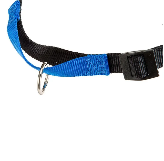 Шлейка Ferplast Coach P S-M Harness Blue для дрессировки, A: 15x18 см, B: 33x41 см