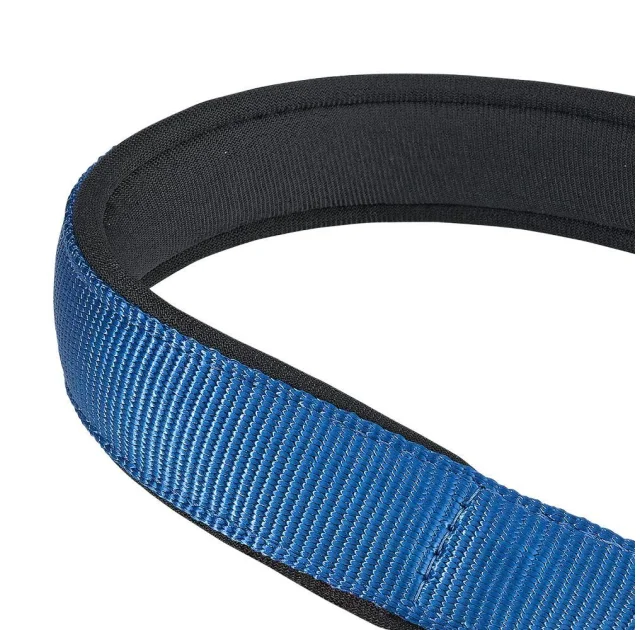 Нейлоновий нашийник з металевим ланцюжком Ferplast Daytona CSS25 / 60 Blue для собак, A: 60 см, B: 25 см