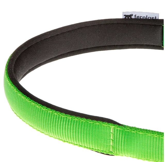 Нейлоновий нашийник з металевим ланцюжком Ferplast Daytona CSS25 / 65 Green для собак, A: 65 см, B: 25 см