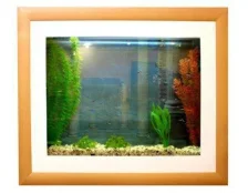 Аквакартины, настенные аквариумы