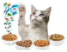 Сухие корма для кошек и собак