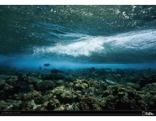 Нагреватель для аквариума