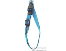 Какие бывают ошейники для собак?