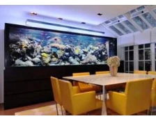 Как правильно оборудовать аквариум