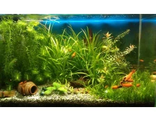 Аквариумный грунт