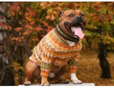 Зимняя одежда для собак