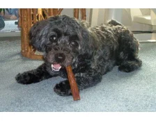 Съедобная игрушка для собаки