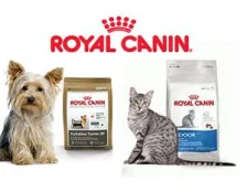 Лучший корм для кошек и собак - Royal Canin