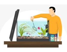 Обслуживание аквариумов