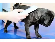 Чипирование собак в Украине - Зачем нужны чипы для собак