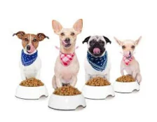 Корм для собак мелких пород - Рейтинг лучших