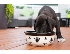 Почему щенкам нужен специальный корм