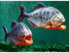 Корм для хищных рыб