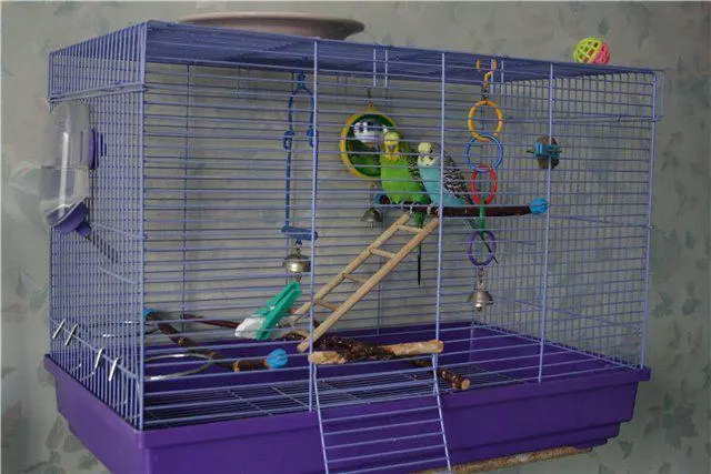 Клітки для попугаїв