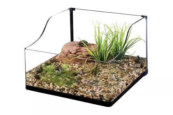 Як піклуватися про улюблену черепаху